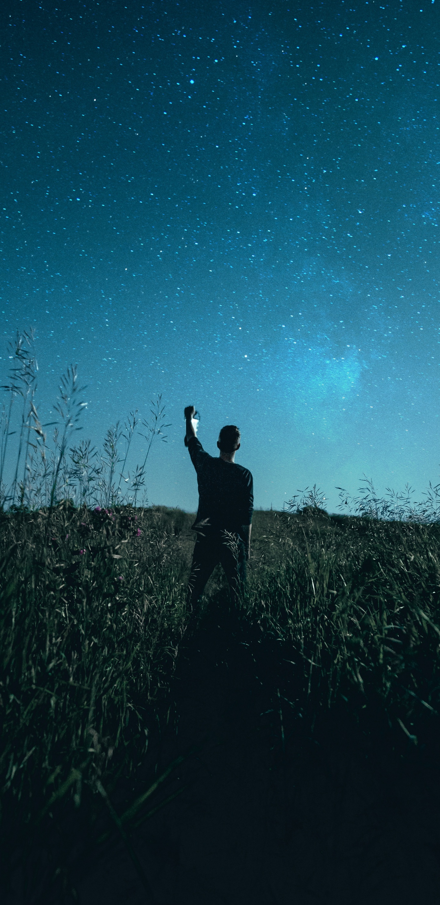 Обои Люди в природе, синий, темнота, ночь, дерево в разрешении 1440x2960