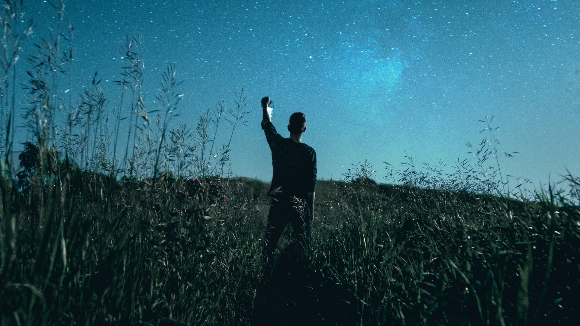 Обои Люди в природе, синий, темнота, ночь, дерево в разрешении 1920x1080