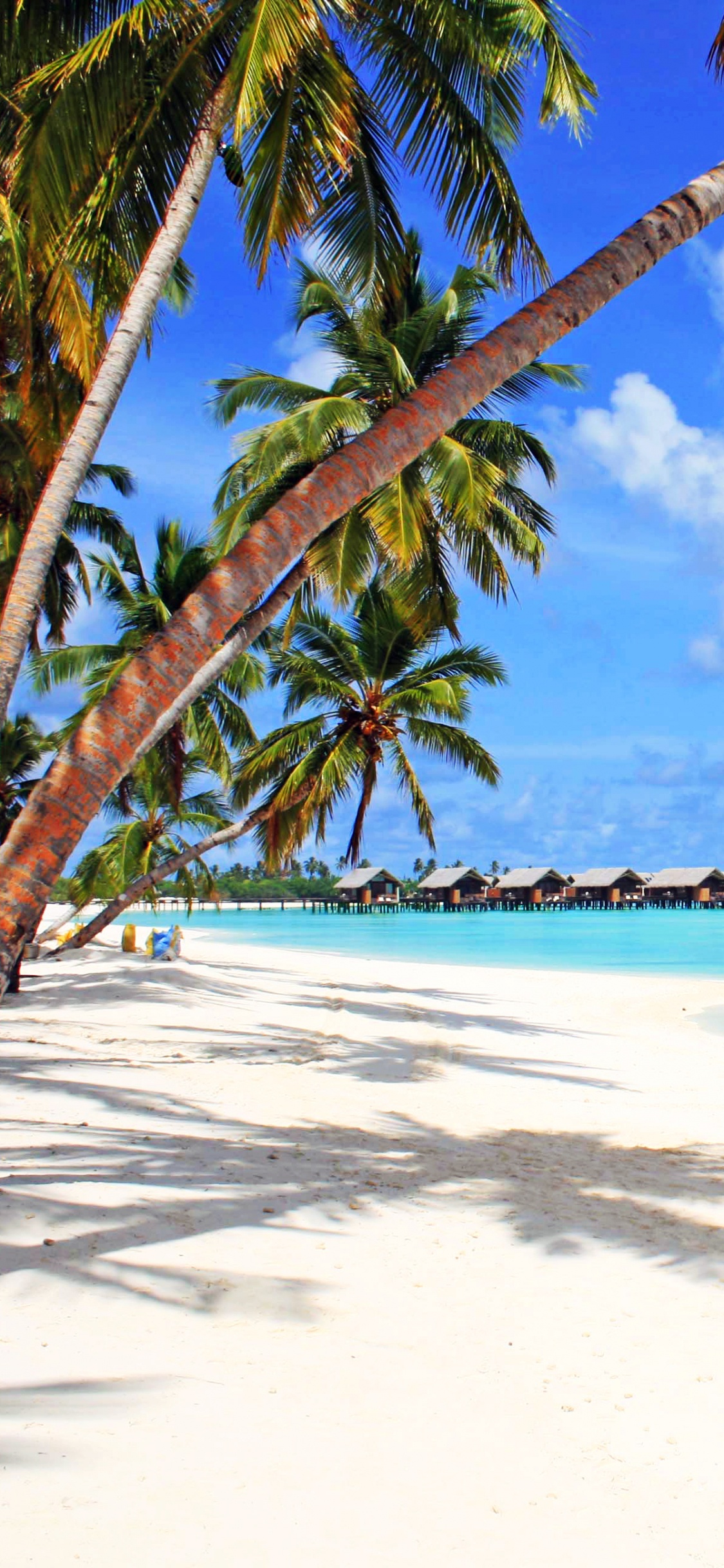 Обои пляж, море, туризм, тропическая зона, Карибский бассейн в разрешении 1125x2436