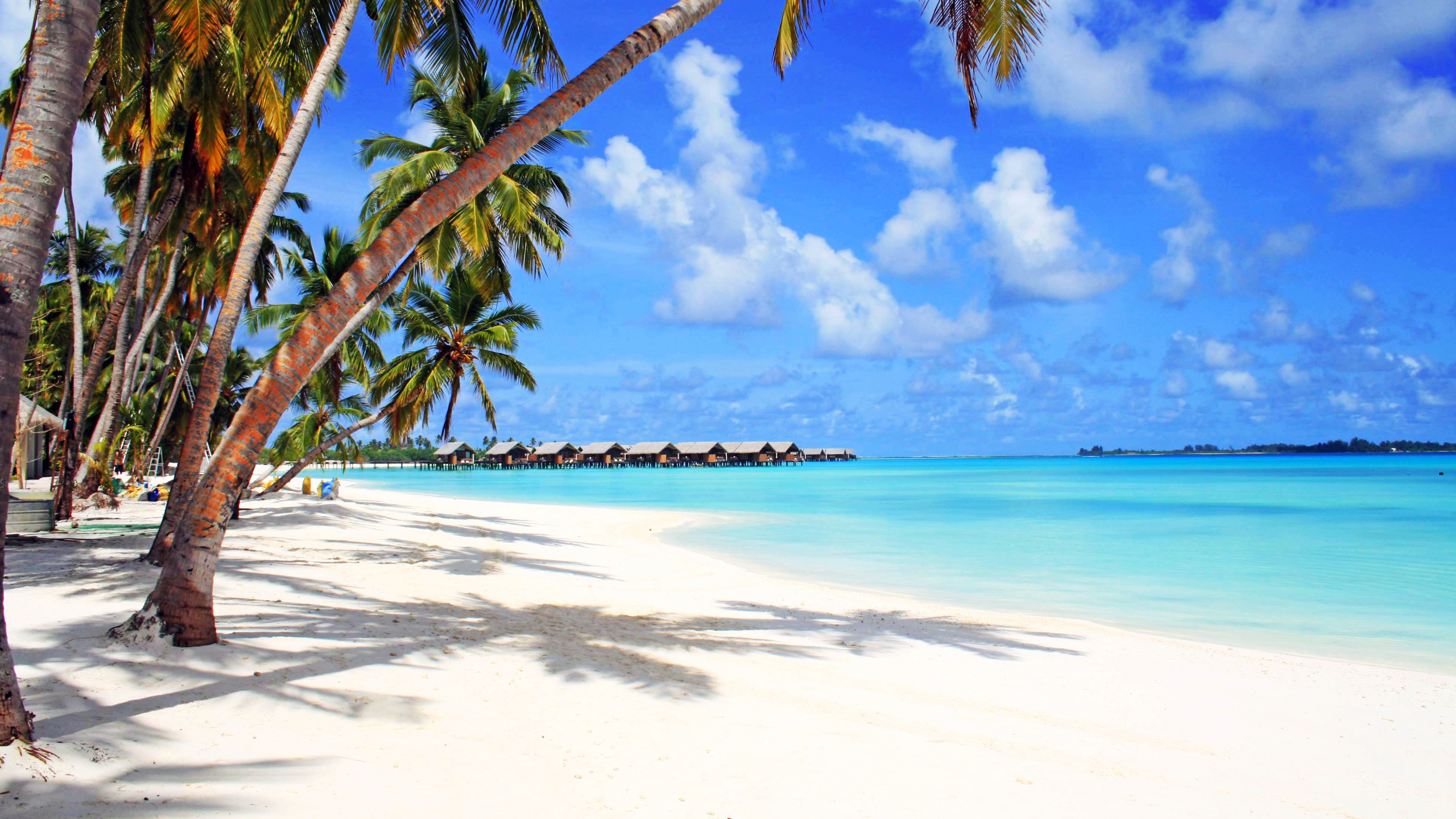 Обои пляж, море, туризм, тропическая зона, Карибский бассейн в разрешении 2560x1440