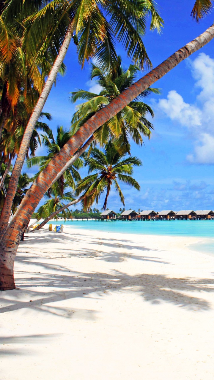 Обои пляж, море, туризм, тропическая зона, Карибский бассейн в разрешении 720x1280