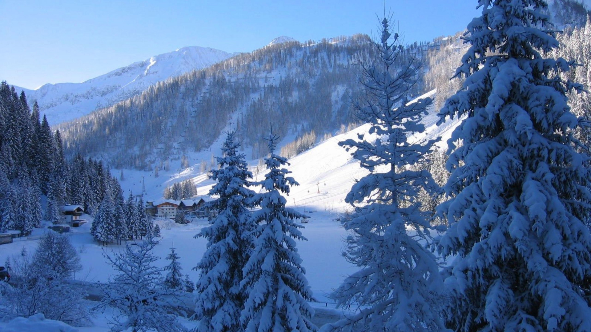 Обои снег, зима, дерево, гора, горный рельеф в разрешении 1920x1080