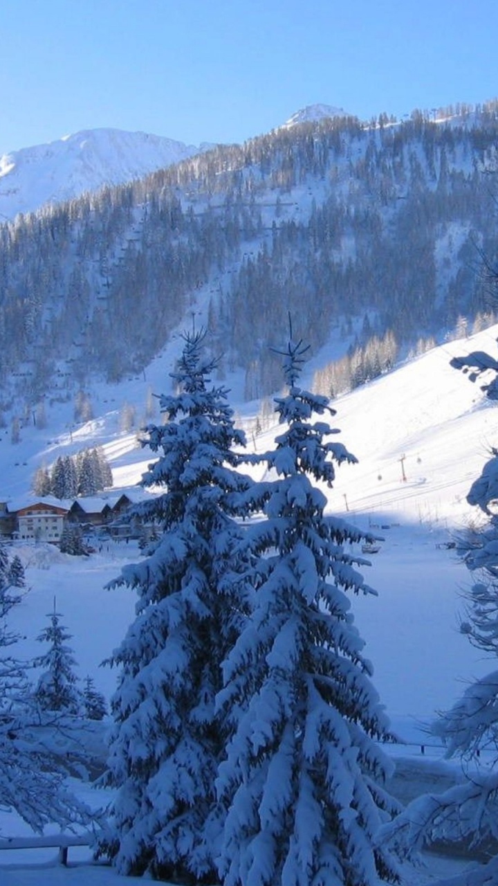 Обои снег, зима, дерево, гора, горный рельеф в разрешении 720x1280