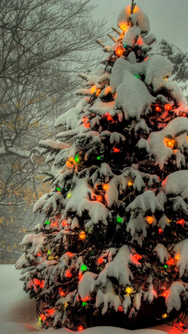 Обои елка, Рождественский день, дерево, зима, Рождество в разрешении 720x1280