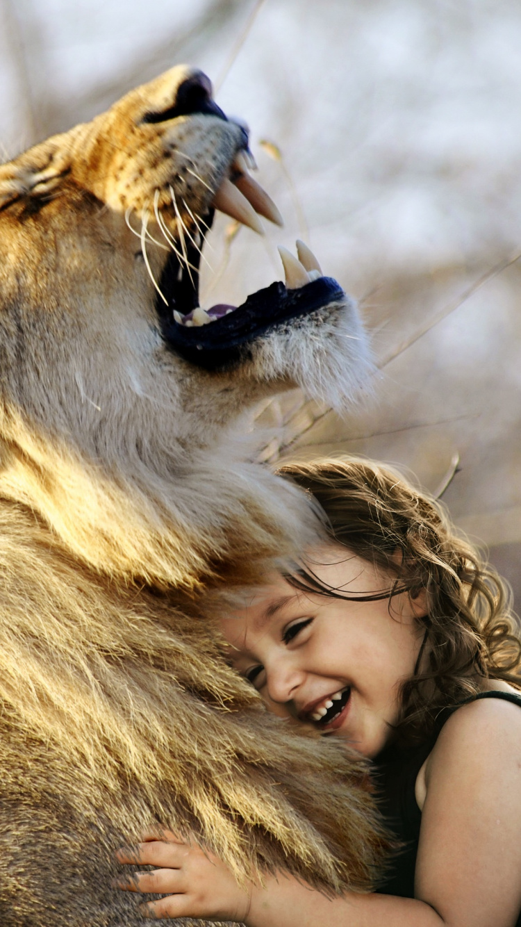 Обои Лев, рев, тигр, большая кошка, живая природа в разрешении 750x1334