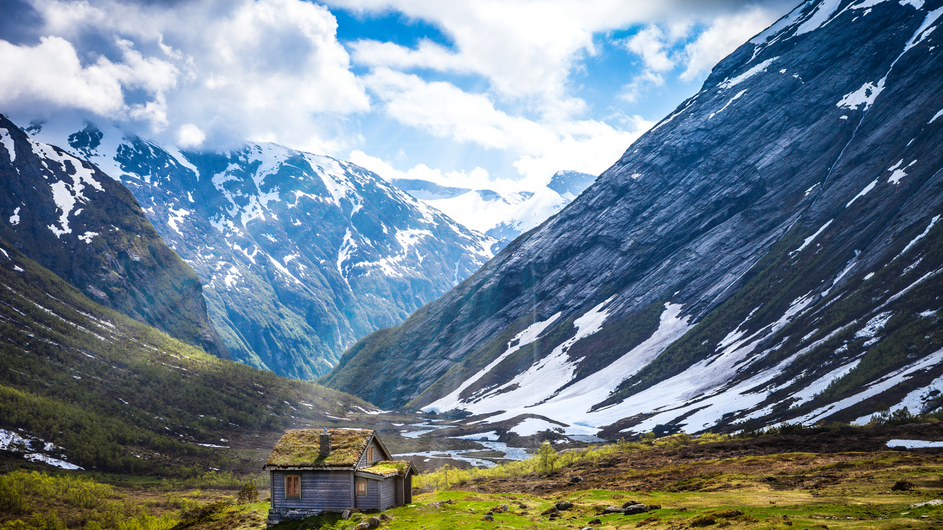Обои сад хаджипура, сад, питомник, коттедж, озеленение сада в разрешении 1366x768