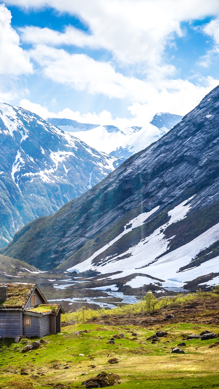 Обои сад хаджипура, сад, питомник, коттедж, озеленение сада в разрешении 720x1280