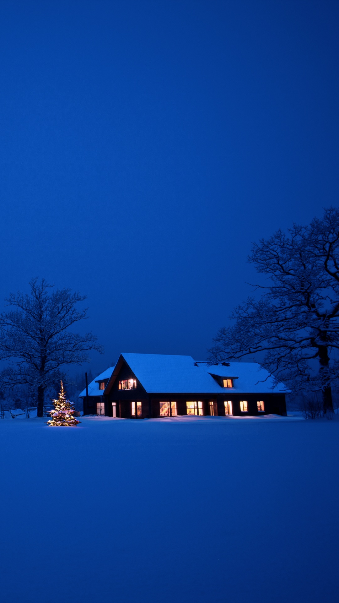 Обои снег, синий, зима, замораживание, ночь в разрешении 1080x1920