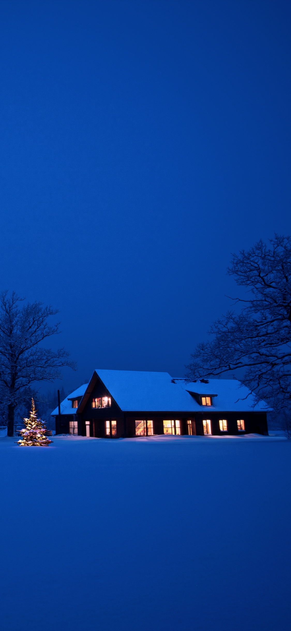 Обои снег, синий, зима, замораживание, ночь в разрешении 1125x2436