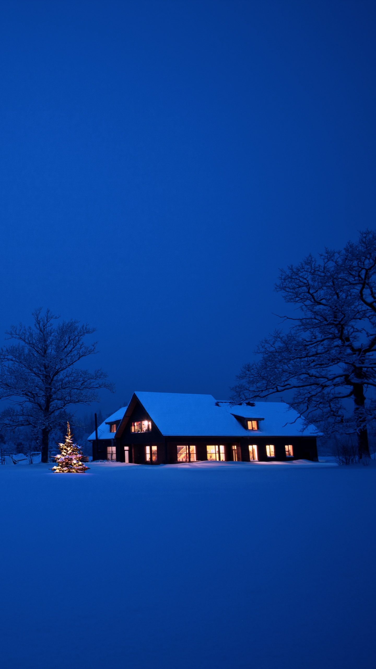 Обои снег, синий, зима, замораживание, ночь в разрешении 1440x2560