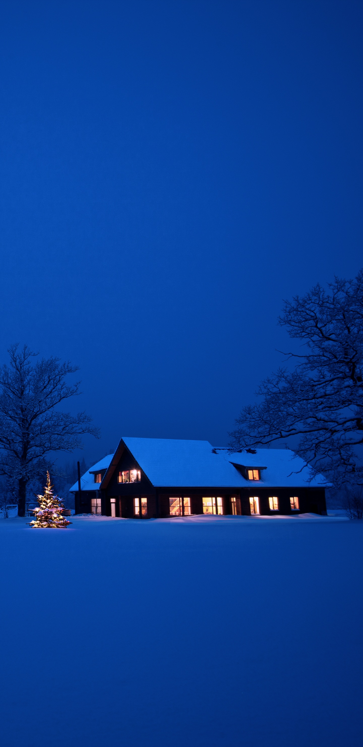 Обои снег, синий, зима, замораживание, ночь в разрешении 1440x2960