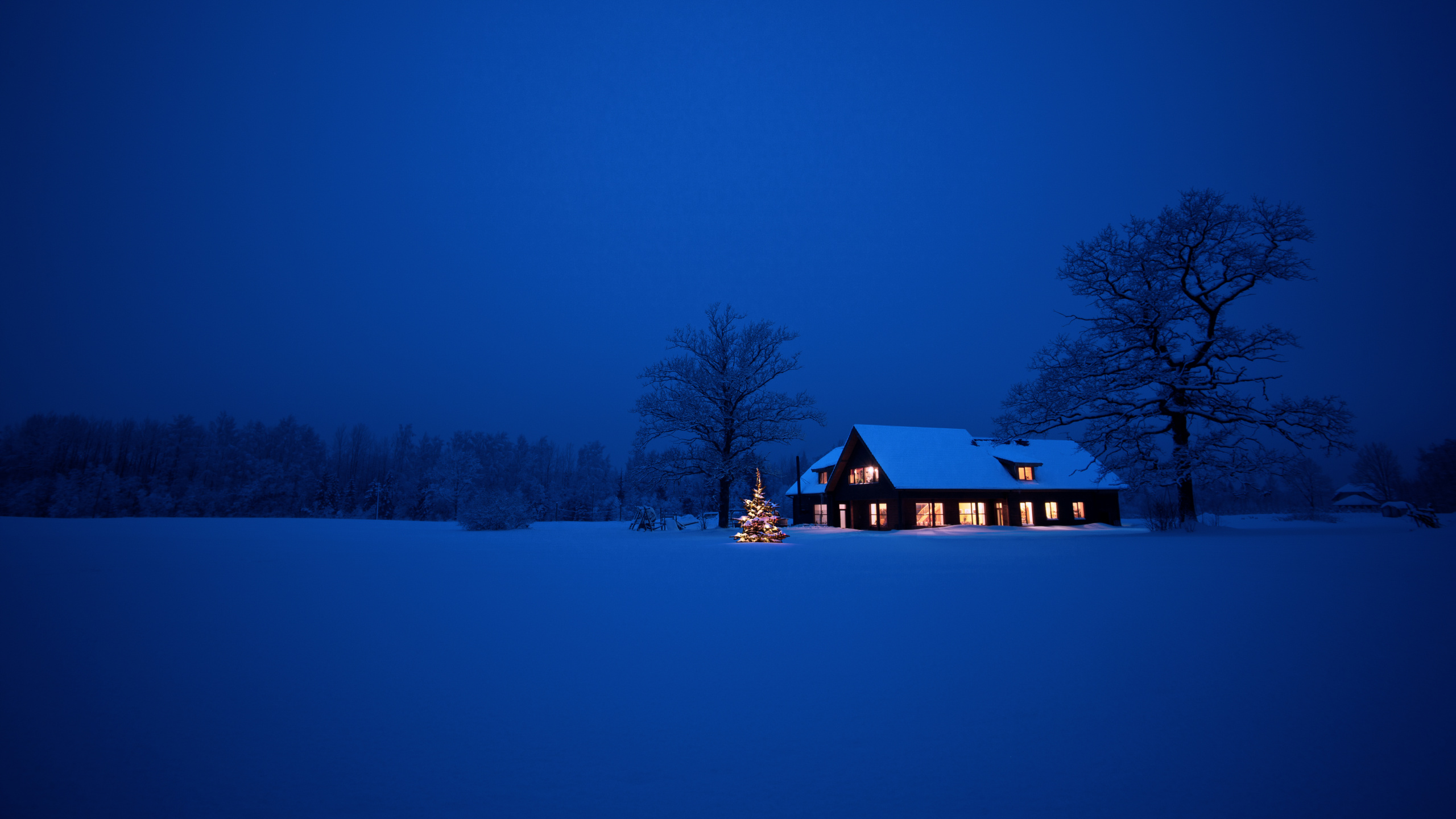 Обои снег, синий, зима, замораживание, ночь в разрешении 2560x1440