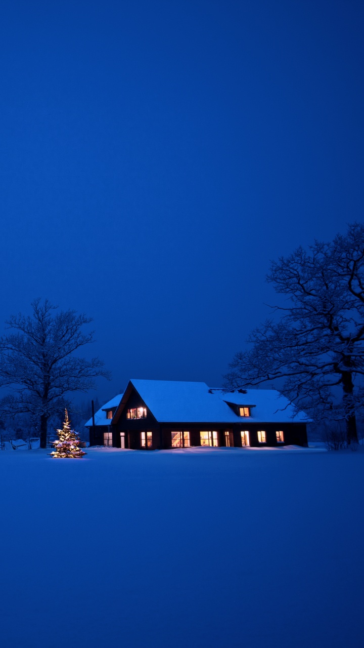 Обои снег, синий, зима, замораживание, ночь в разрешении 720x1280