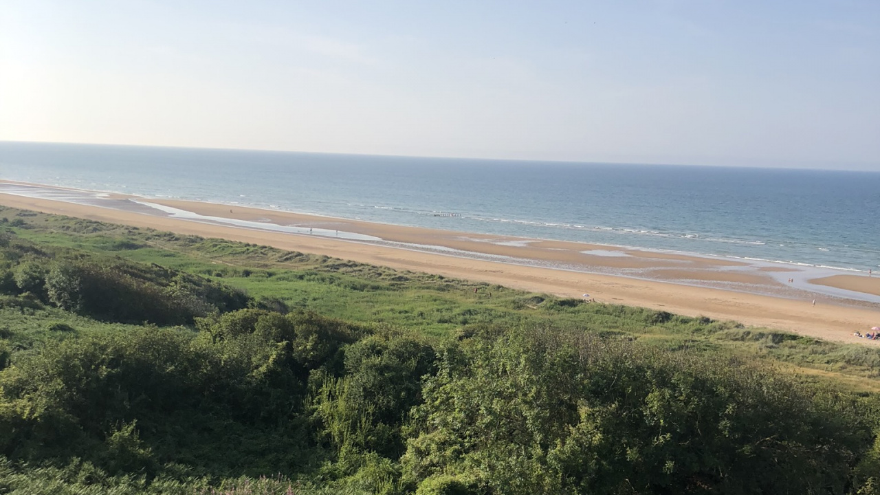 Обои кустарник, степ, сенокосное угодье, растительность, растительное сообщество в разрешении 1280x720