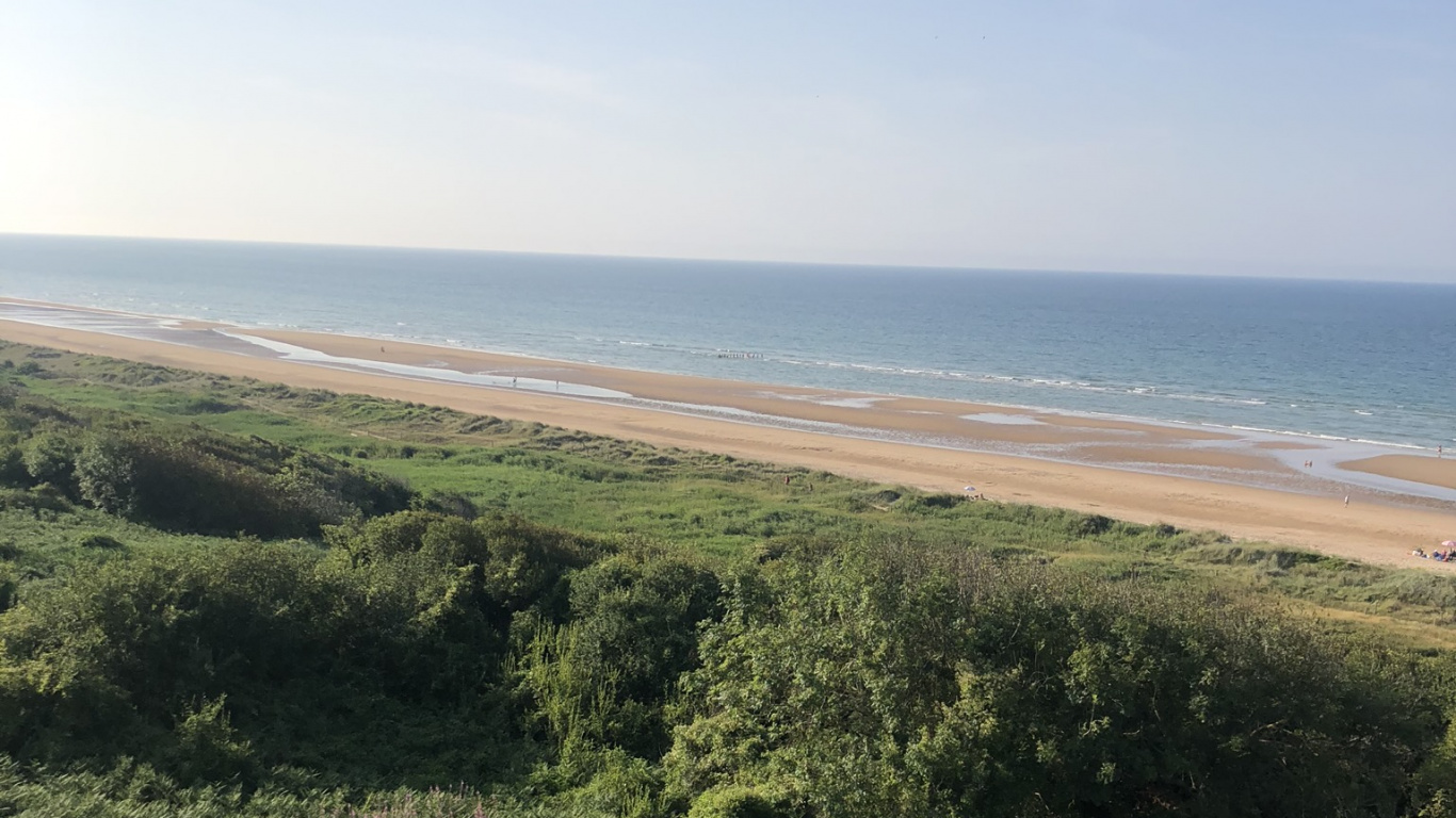 Обои кустарник, степ, сенокосное угодье, растительность, растительное сообщество в разрешении 1366x768