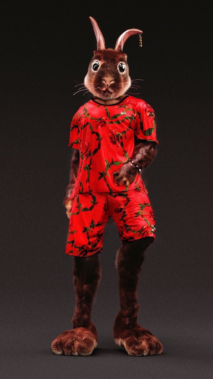 Обои арт, кролик, Кролики и зайцы, костюм, анимация в разрешении 720x1280