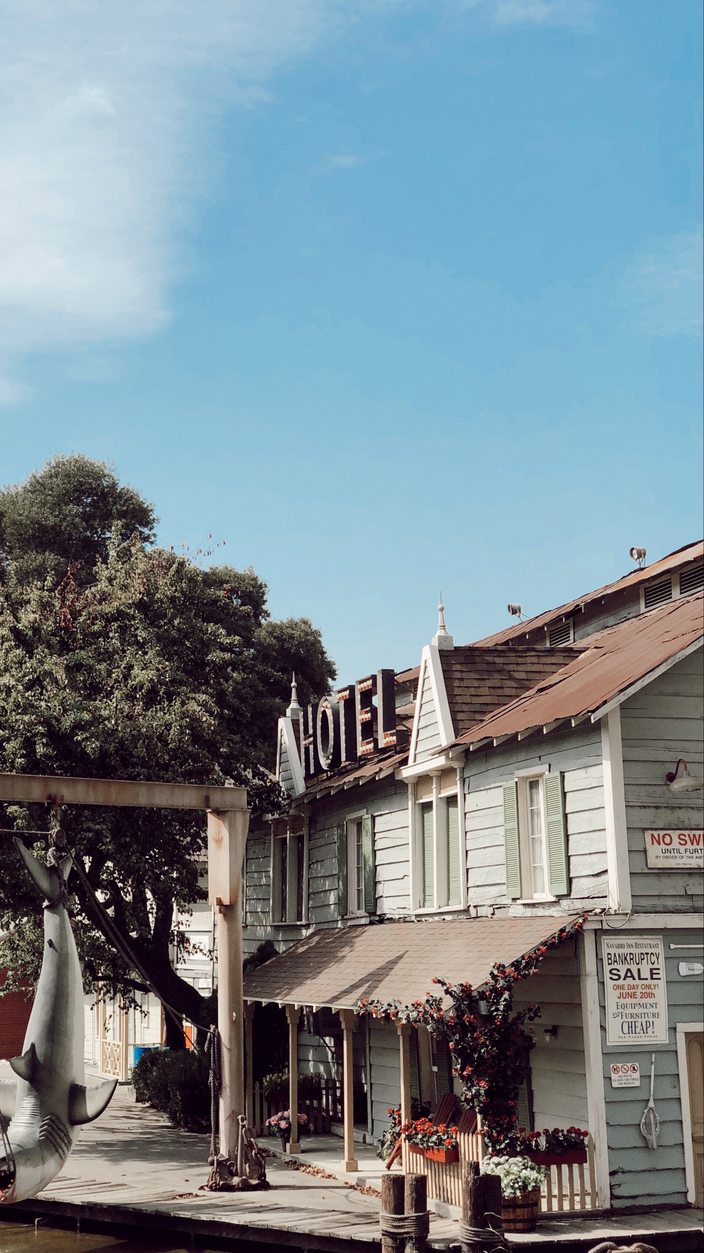 Обои крыша, биология, наука, городок, цветочный горшок в разрешении 1440x2560