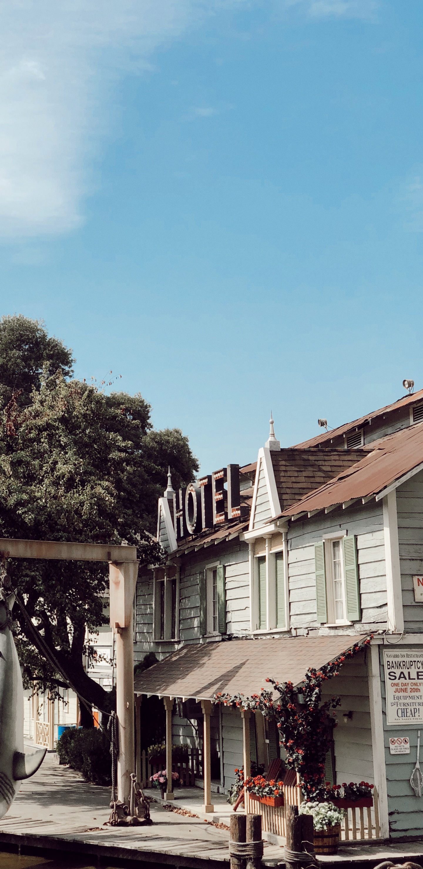 Обои крыша, биология, наука, городок, цветочный горшок в разрешении 1440x2960