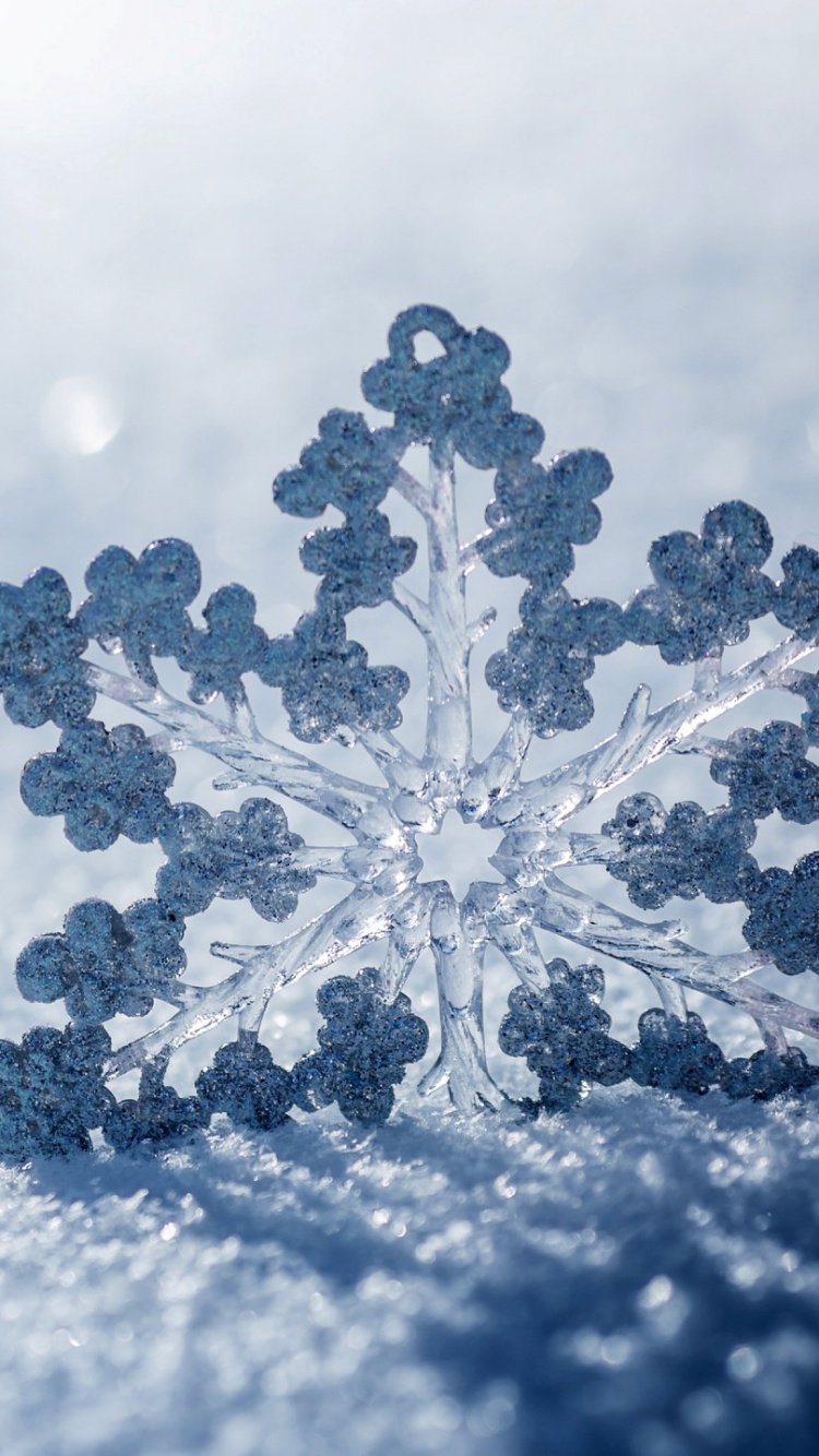 Обои Снежинка, снег, зима, замораживание, облако в разрешении 750x1334