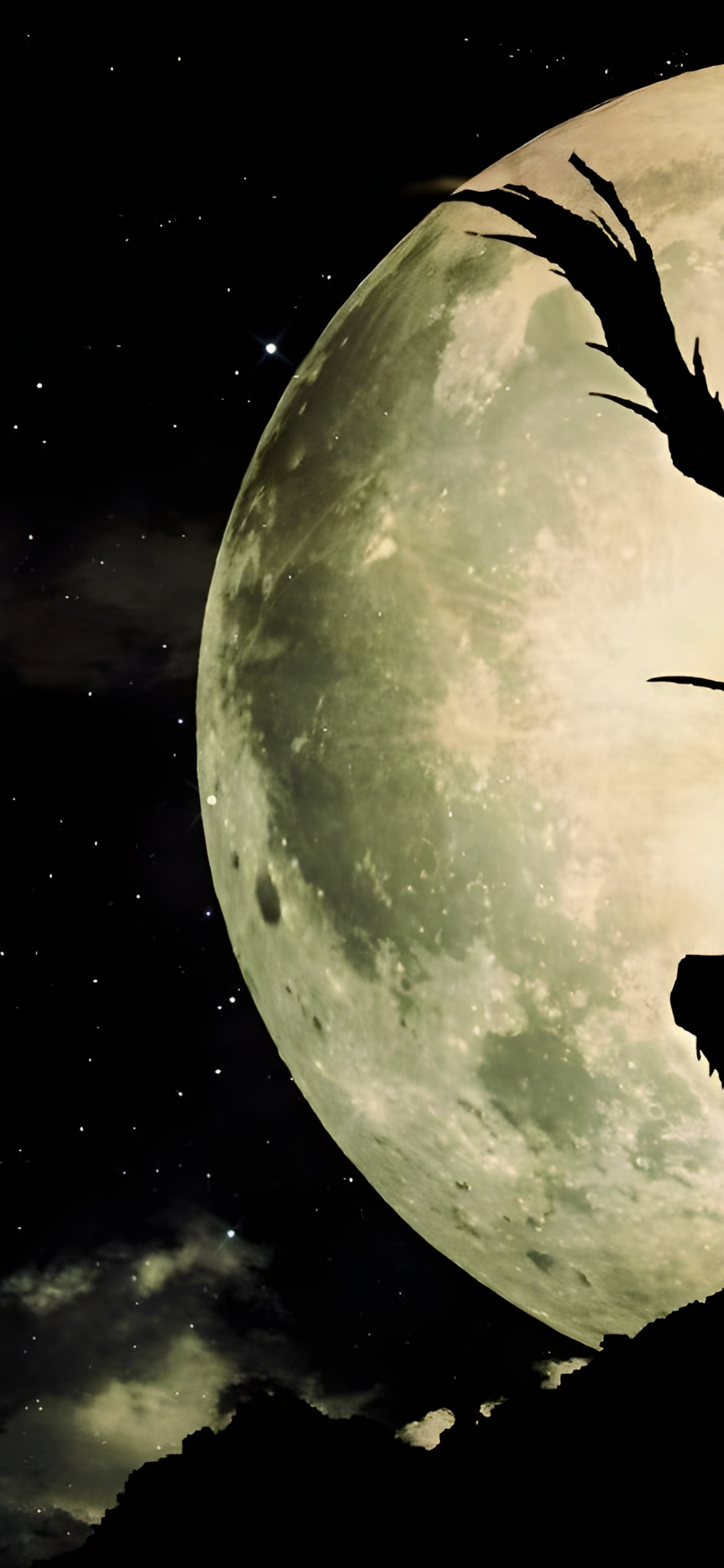 Обои предсмертная записка фонд д крэн пк, рюк, Ягами Лайт, тетрадь смерти в разрешении 1125x2436