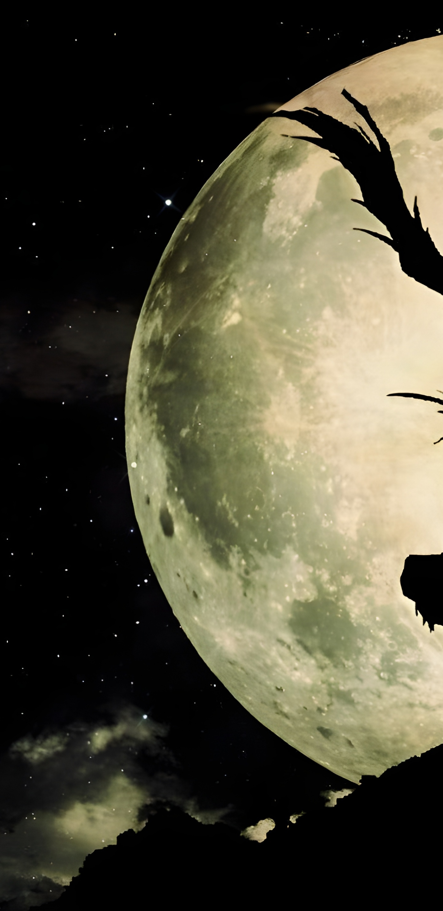 Обои предсмертная записка фонд д крэн пк, рюк, Ягами Лайт, тетрадь смерти в разрешении 1440x2960