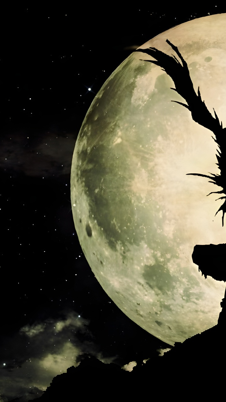 Обои предсмертная записка фонд д крэн пк, рюк, Ягами Лайт, тетрадь смерти в разрешении 720x1280