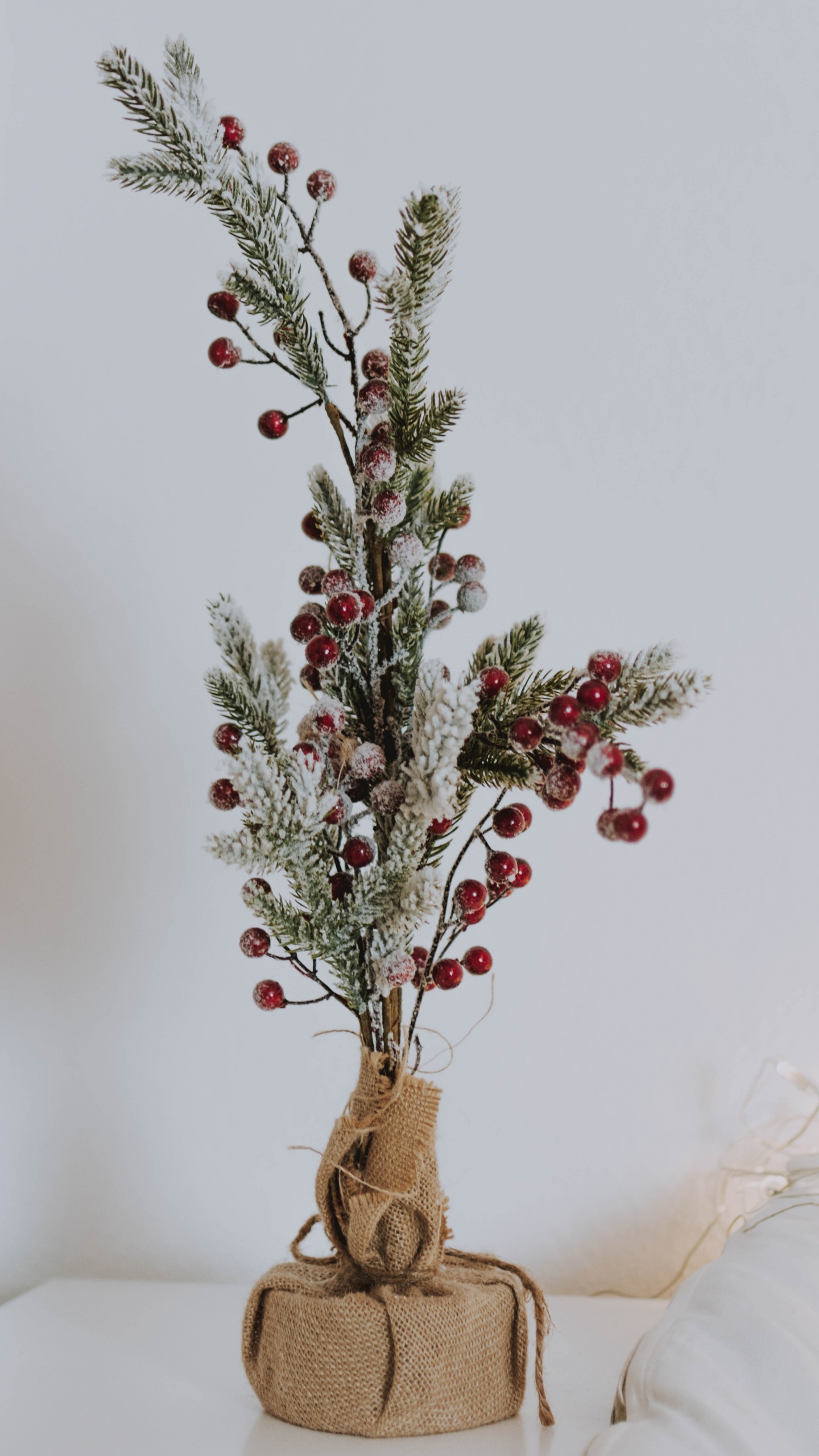 Обои цветочный горшок, прут, ветвь, красный цвет, цветок в разрешении 1440x2560