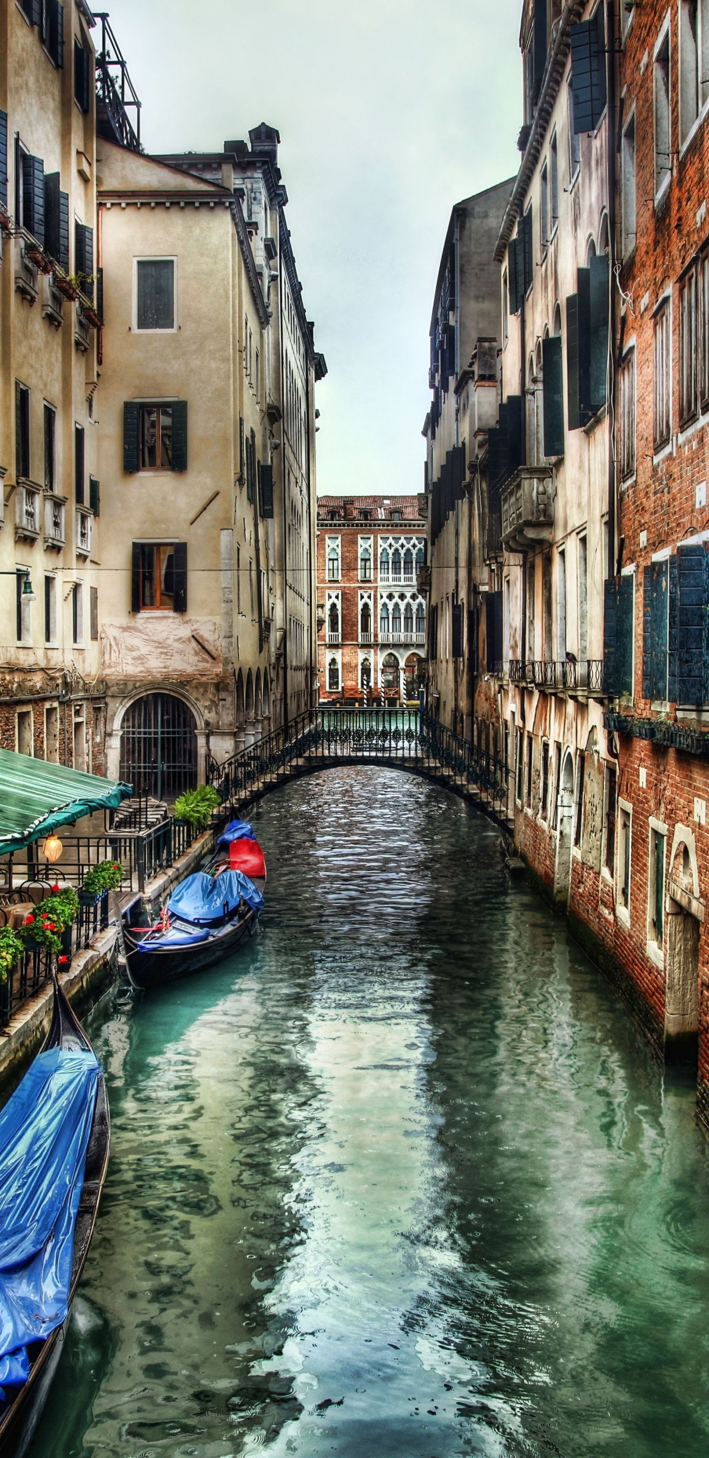 Обои Венеция, канал, водный путь, вода, городок в разрешении 1440x2960