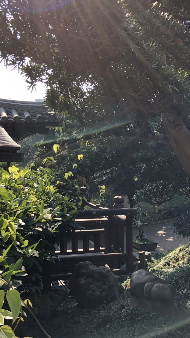 Обои дерево, растительность, лист, сад, крыша в разрешении 750x1334