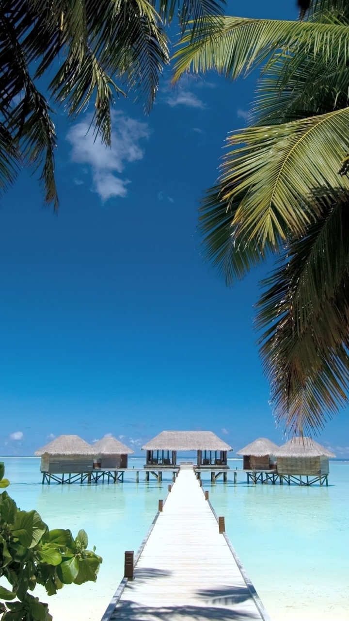 Обои Мальдивские Острова Конрад Рангали, рангали, пляж, прибежище, Остров в разрешении 720x1280