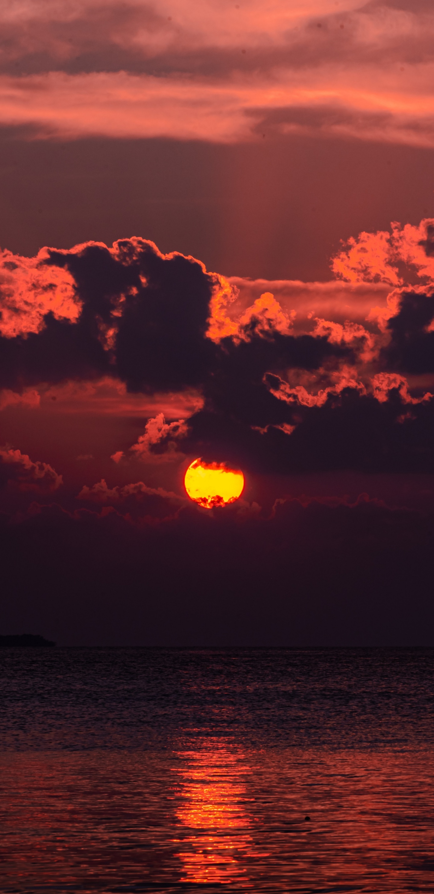 Обои сумерки закат, закат, сумрак, облако, атмосфера в разрешении 1440x2960