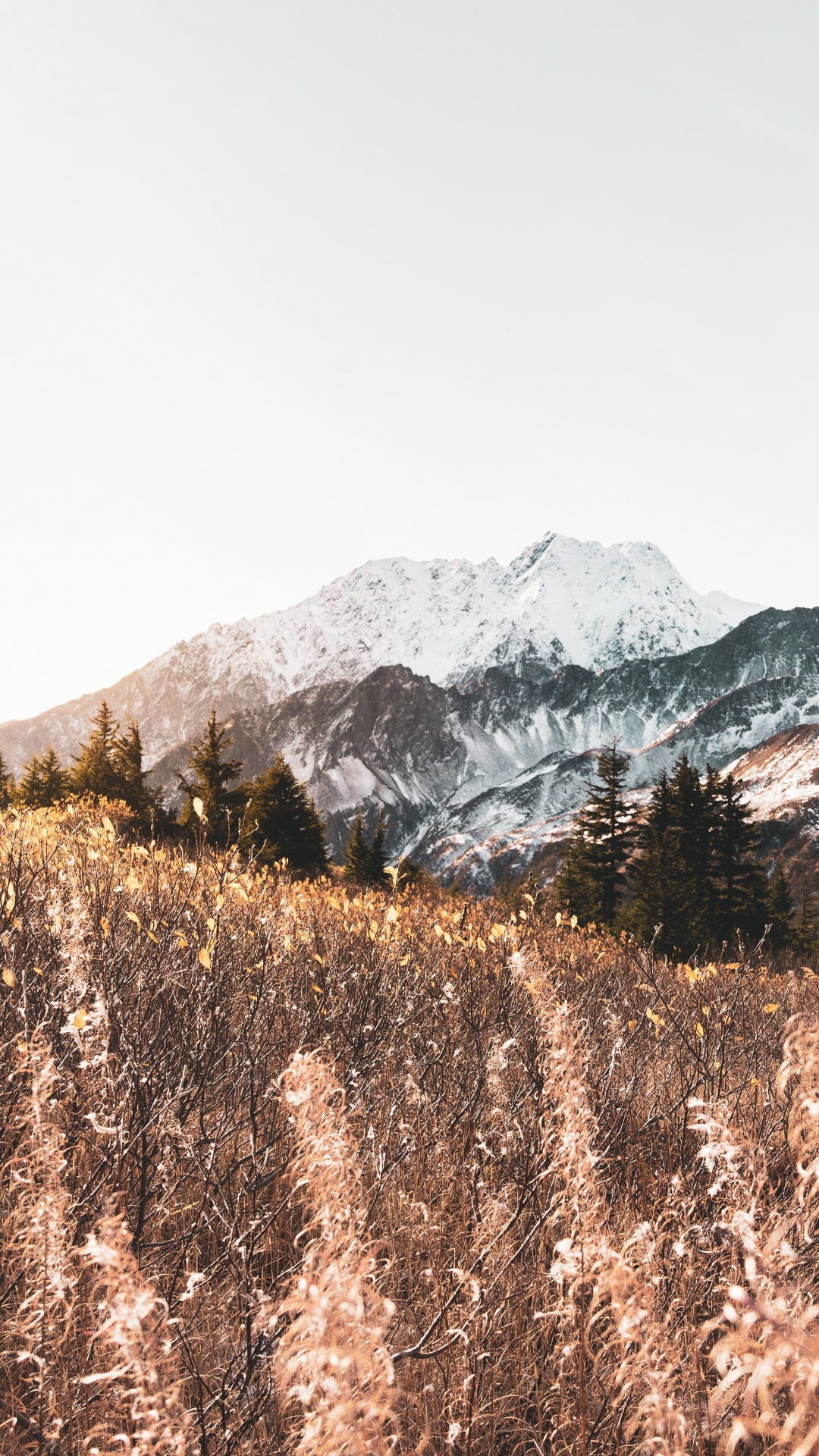 Обои гора, горный рельеф, М-дерево, нагорье, снег в разрешении 1080x1920
