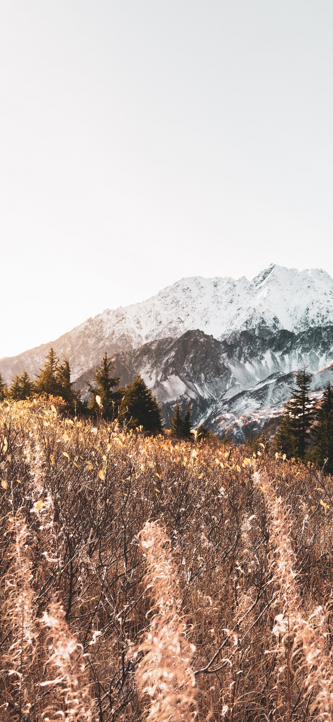 Обои гора, горный рельеф, М-дерево, нагорье, снег в разрешении 1125x2436