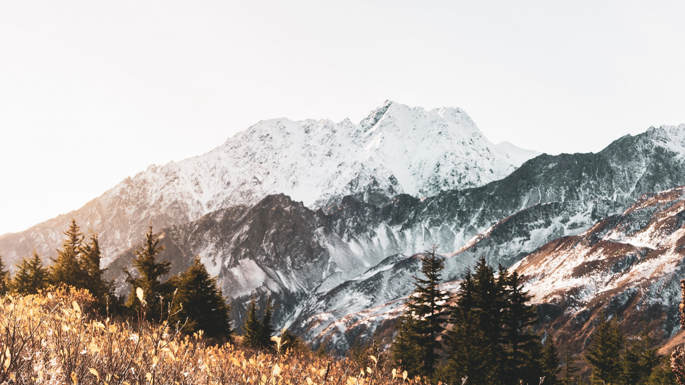 Обои гора, горный рельеф, М-дерево, нагорье, снег в разрешении 1366x768