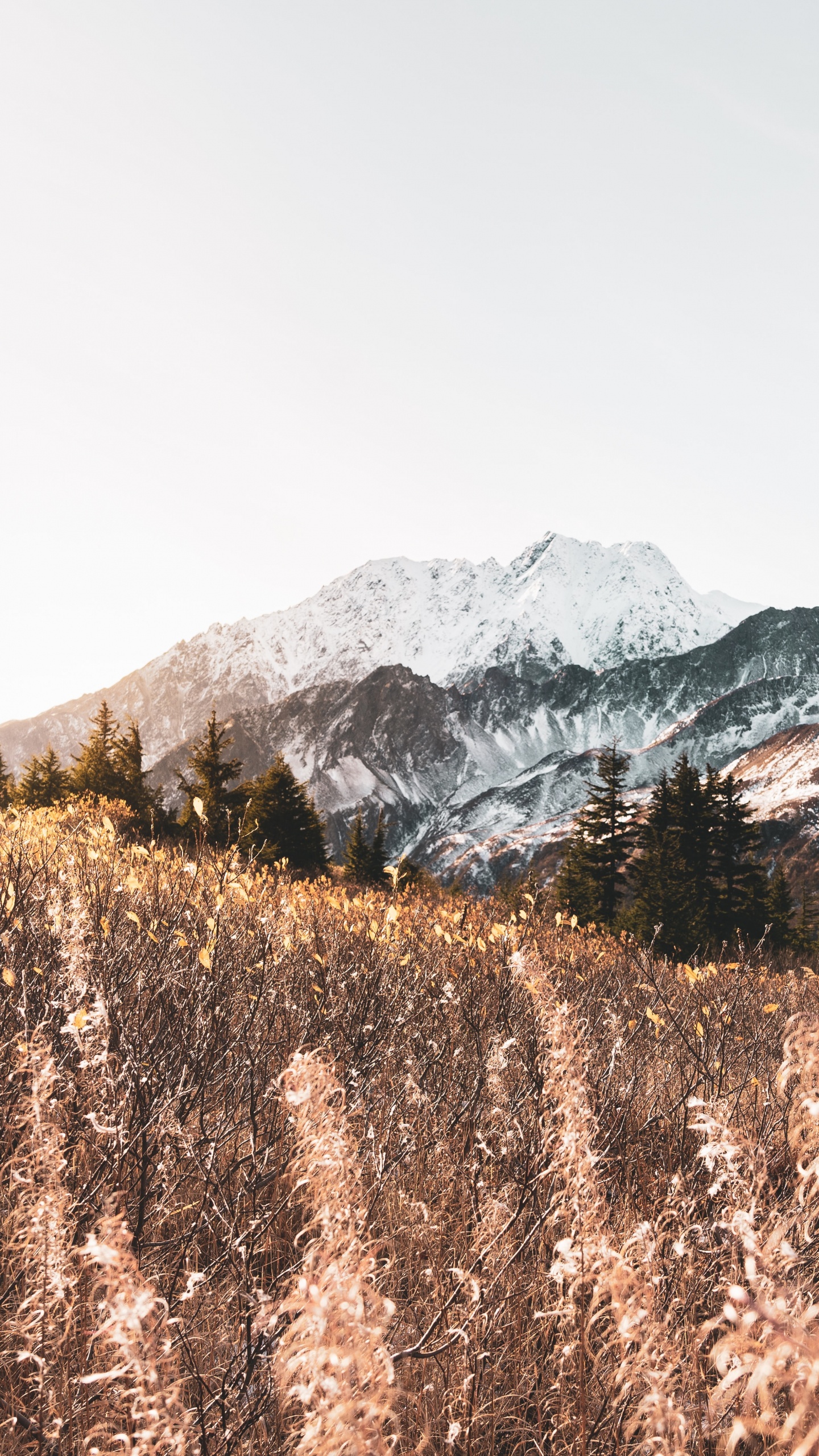 Обои гора, горный рельеф, М-дерево, нагорье, снег в разрешении 1440x2560