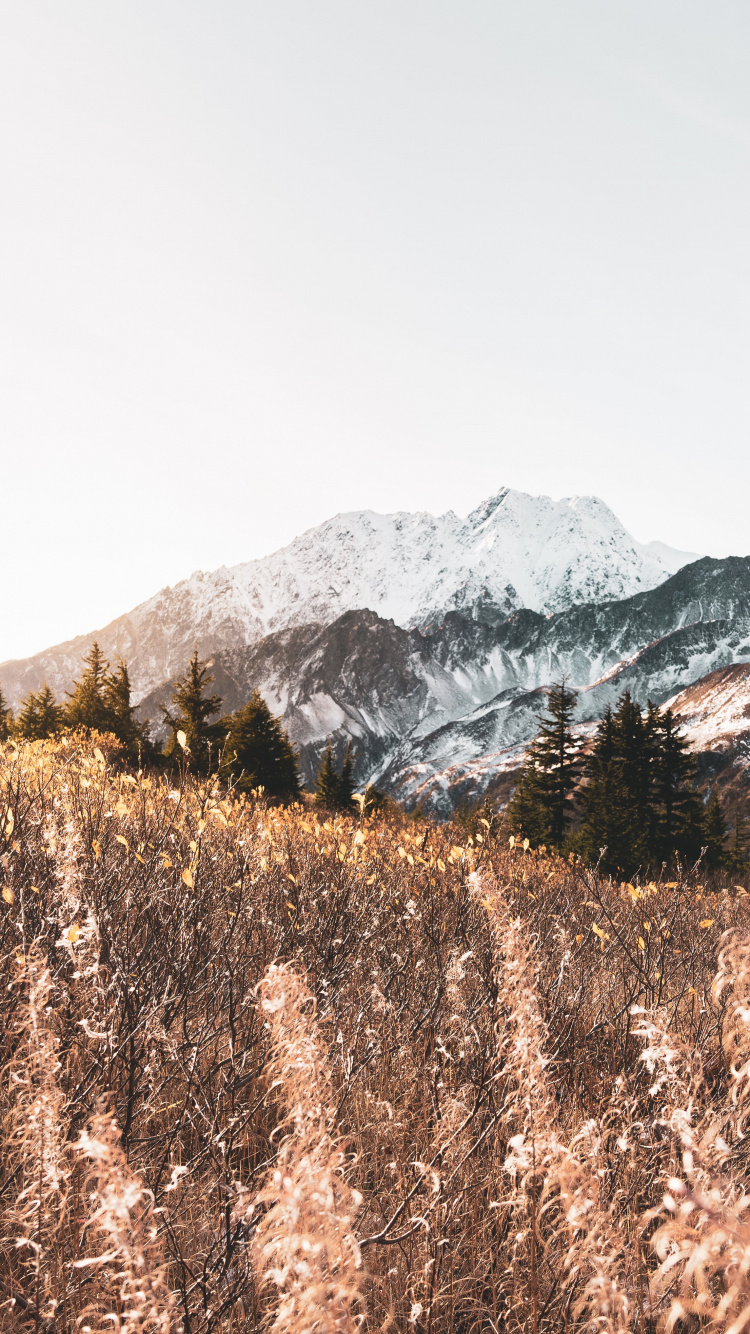 Обои гора, горный рельеф, М-дерево, нагорье, снег в разрешении 750x1334