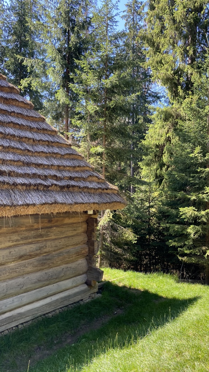 Обои бревенчатый домик, недвижимость, биом, древесина, крыша в разрешении 720x1280