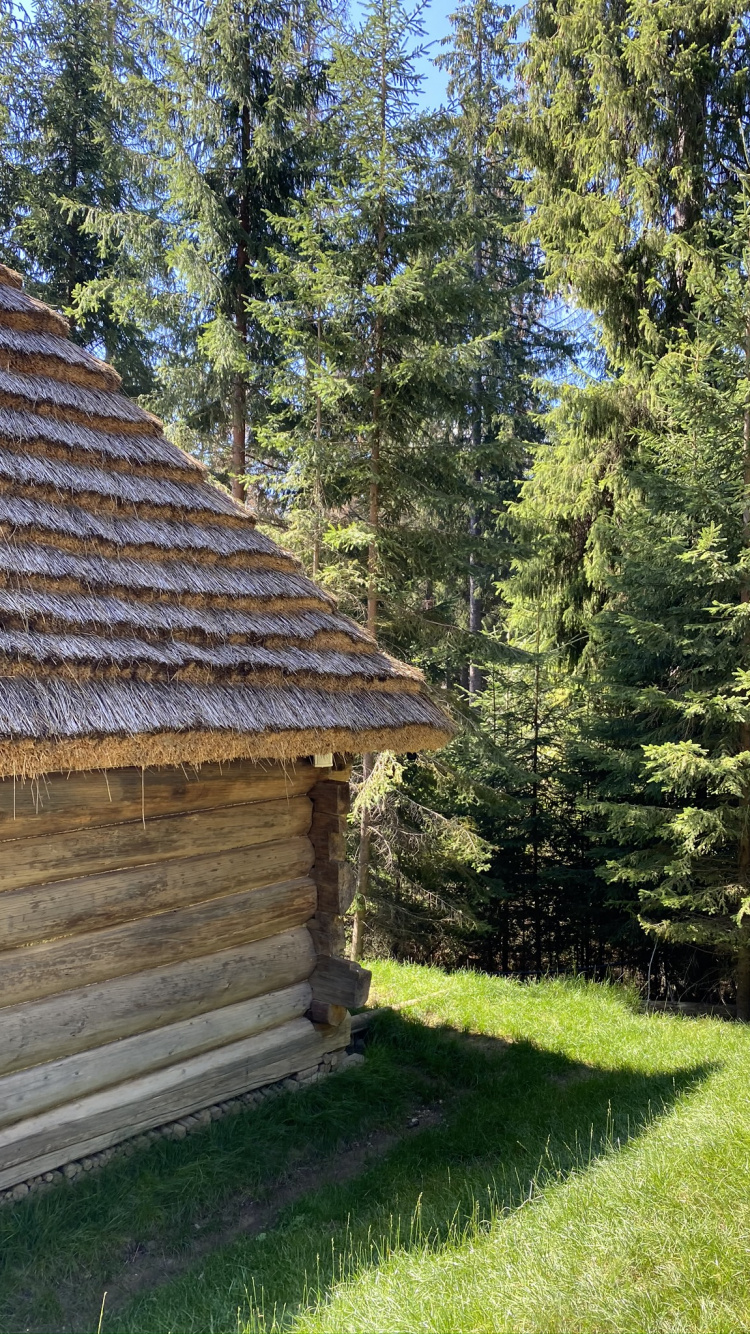 Обои бревенчатый домик, недвижимость, биом, древесина, крыша в разрешении 750x1334