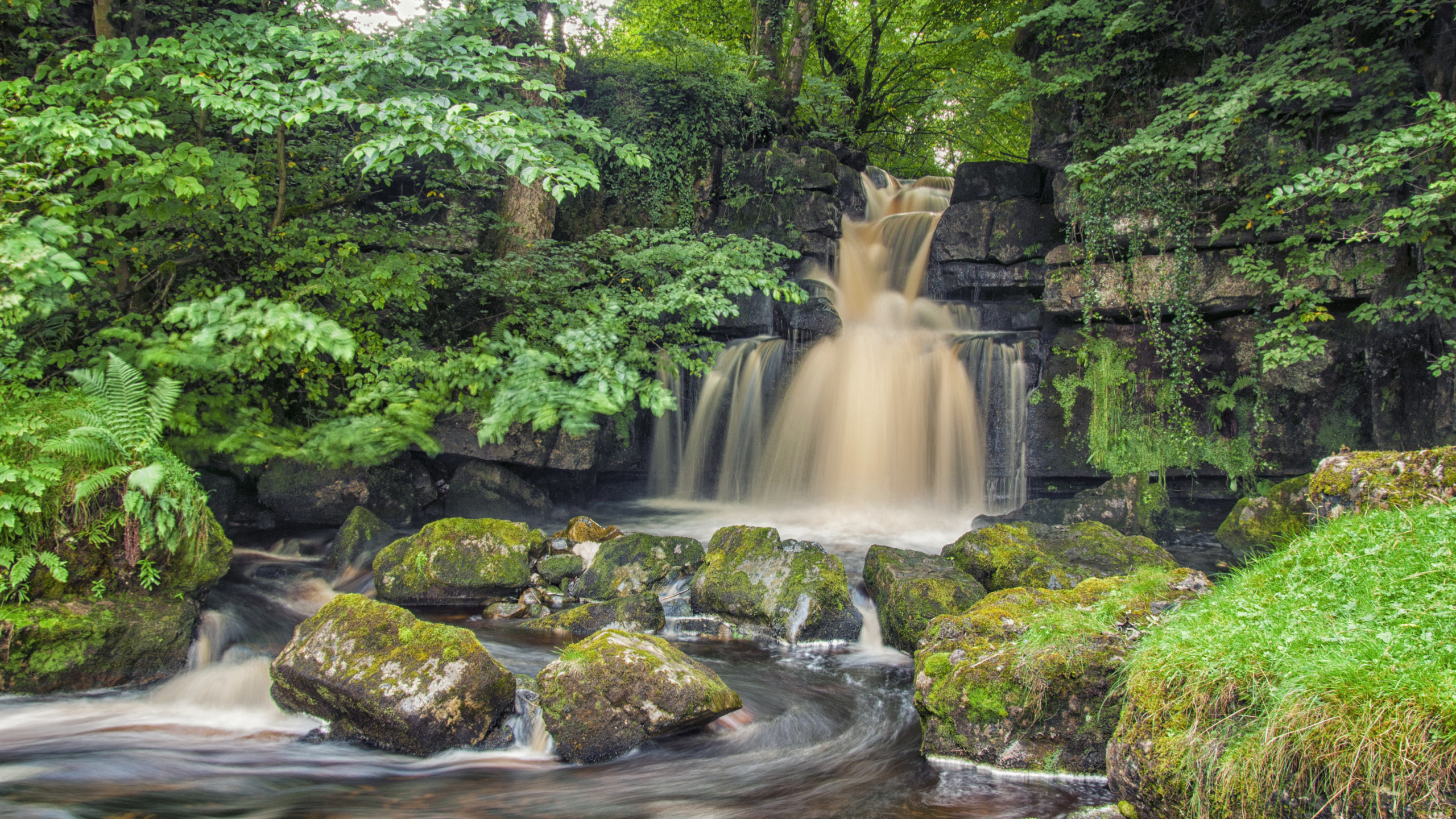 Обои природа, водопад, старовозрастные леса, дерево, вода в разрешении 2560x1440