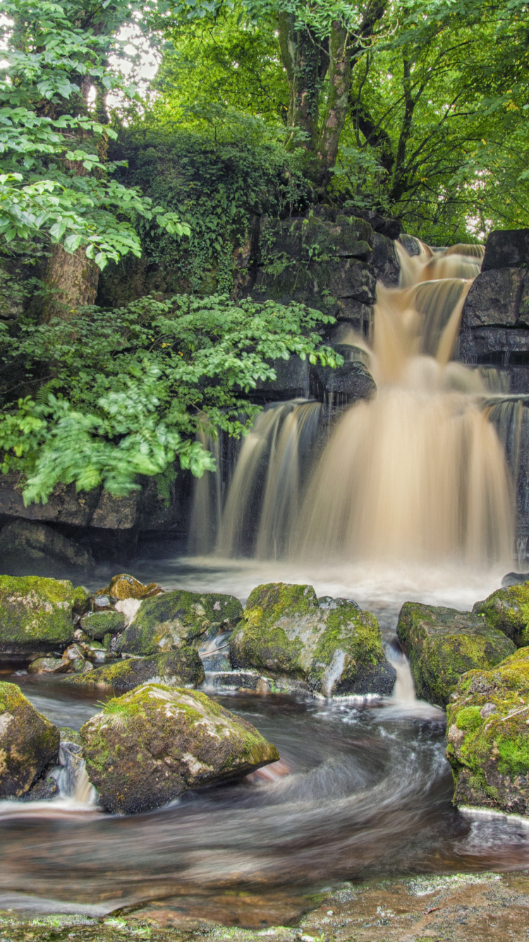 Обои природа, водопад, старовозрастные леса, дерево, вода в разрешении 750x1334