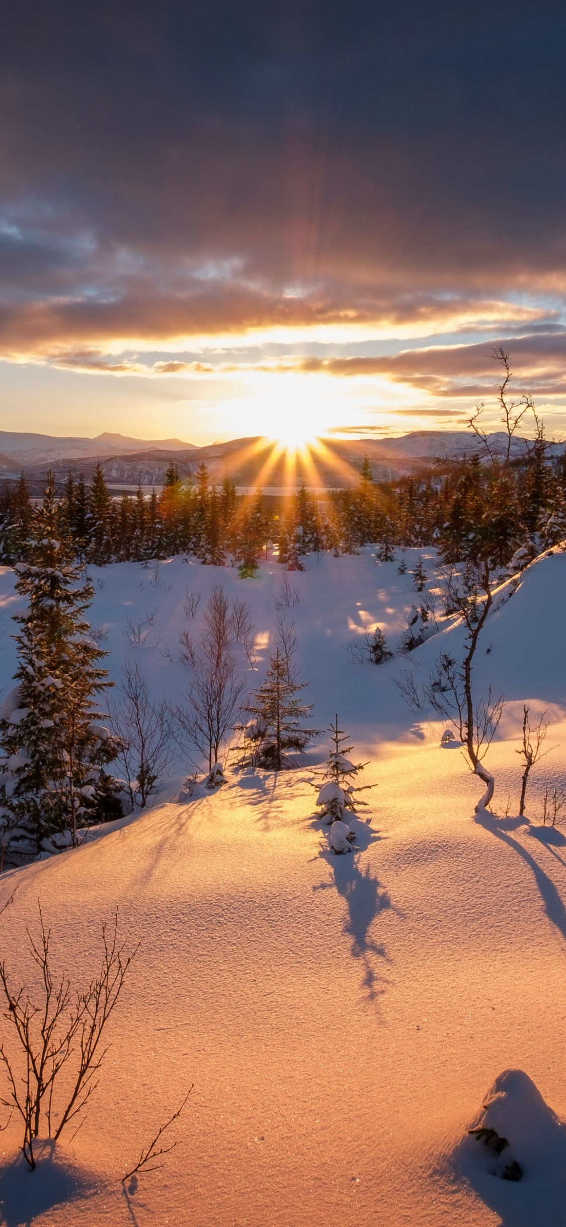 Обои зима, закат, восход солнца, снег, природа в разрешении 1125x2436