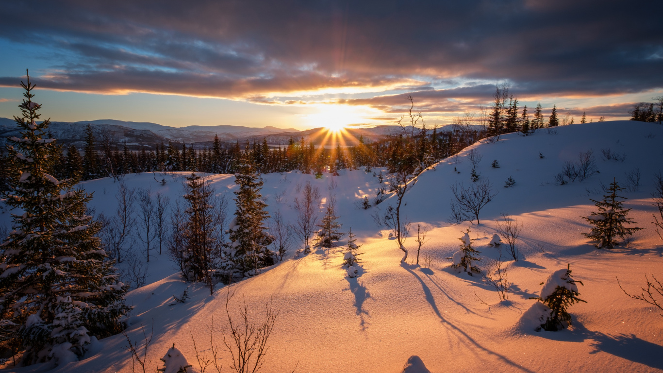 Обои зима, закат, восход солнца, снег, природа в разрешении 1366x768