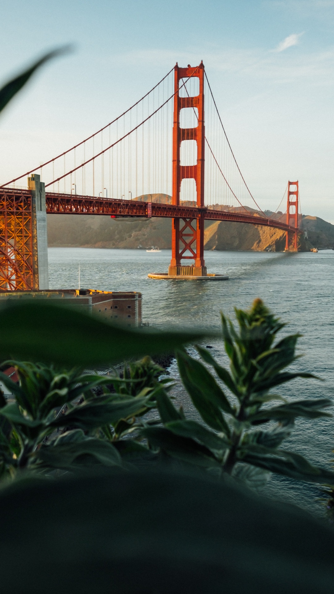 Обои мост Golden Gate, Крисси Филд, Мьюир Вудс Национальный Памятник, Парк Золотые Ворота, отдых в разрешении 1080x1920