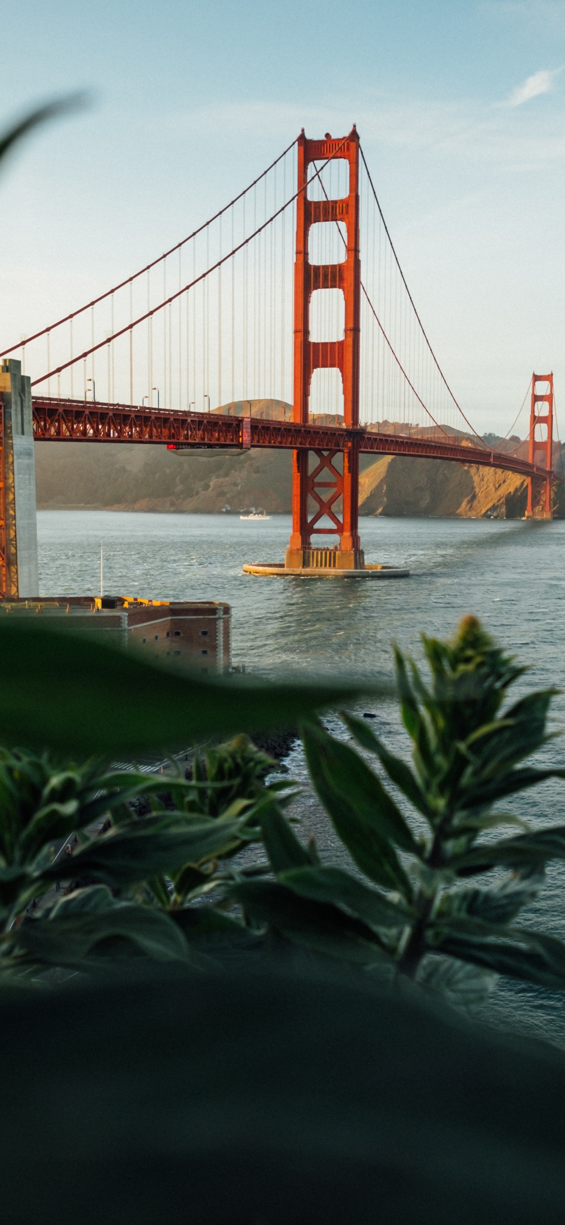 Обои мост Golden Gate, Крисси Филд, Мьюир Вудс Национальный Памятник, Парк Золотые Ворота, отдых в разрешении 1125x2436