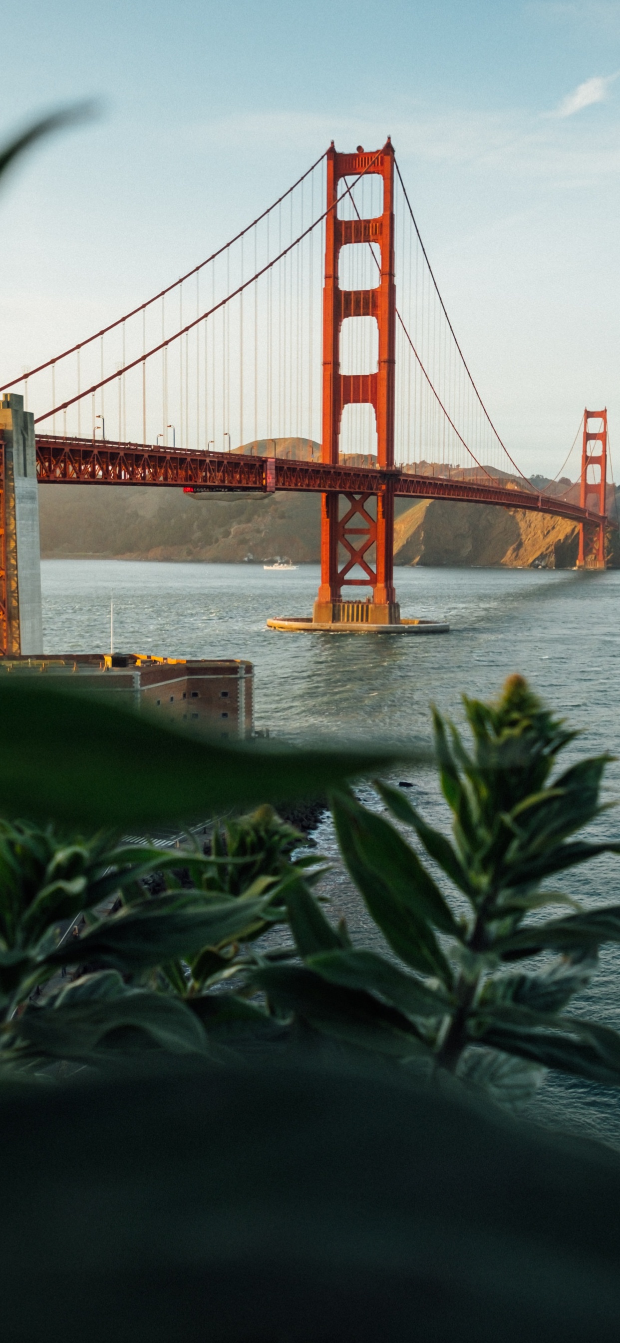 Обои мост Golden Gate, Крисси Филд, Мьюир Вудс Национальный Памятник, Парк Золотые Ворота, отдых в разрешении 1242x2688