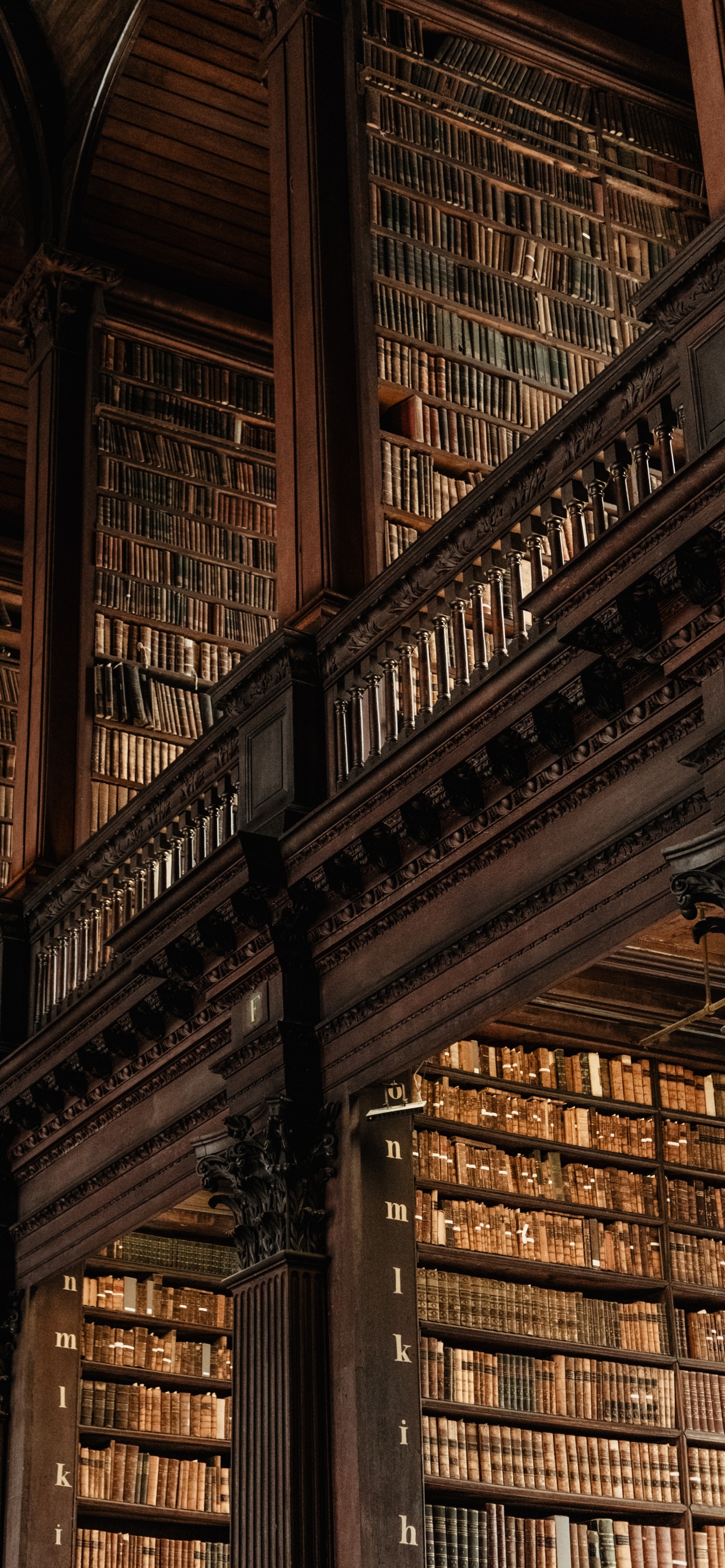 Обои сказки барда бидла, Гарри Поттер, коричневый цвет, древесина, линия в разрешении 1242x2688