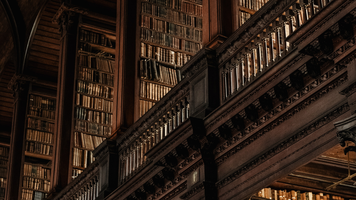 Обои сказки барда бидла, Гарри Поттер, коричневый цвет, древесина, линия в разрешении 1366x768