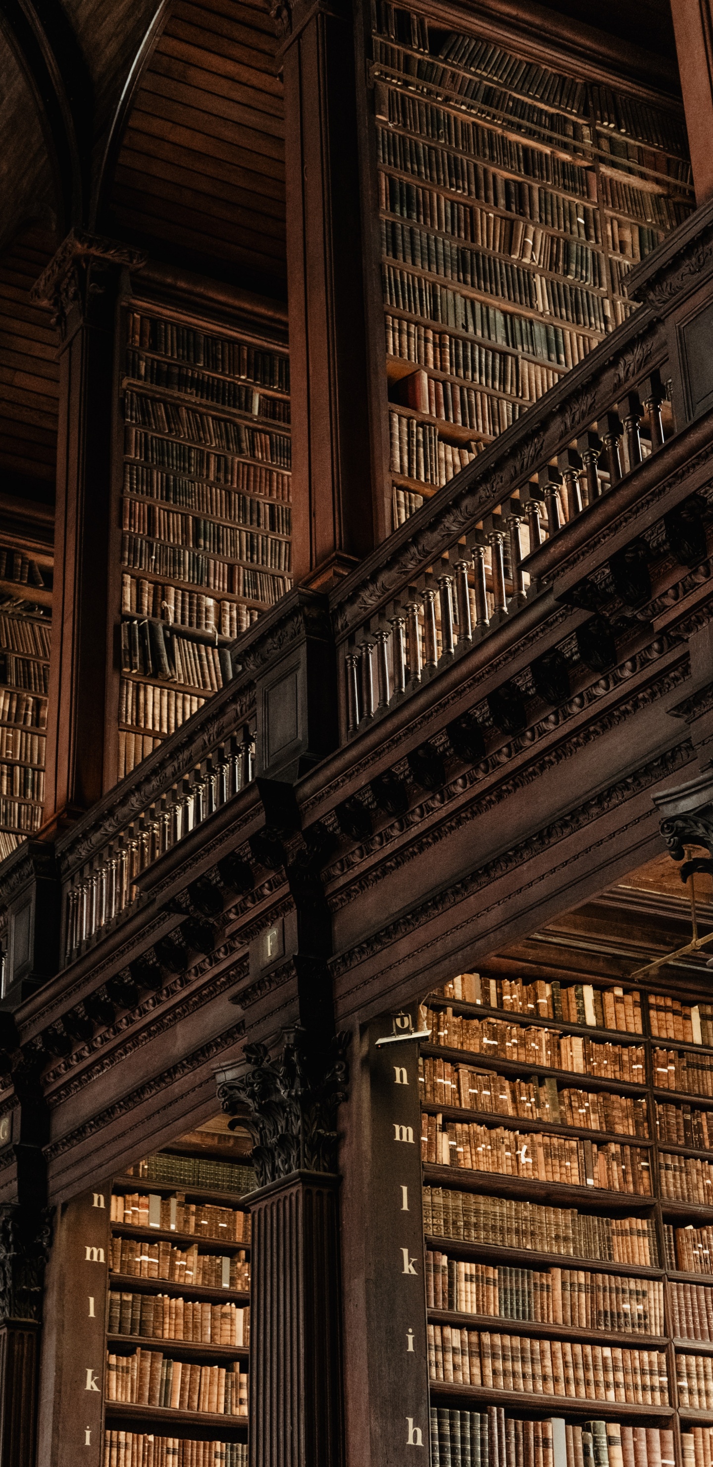 Обои сказки барда бидла, Гарри Поттер, коричневый цвет, древесина, линия в разрешении 1440x2960