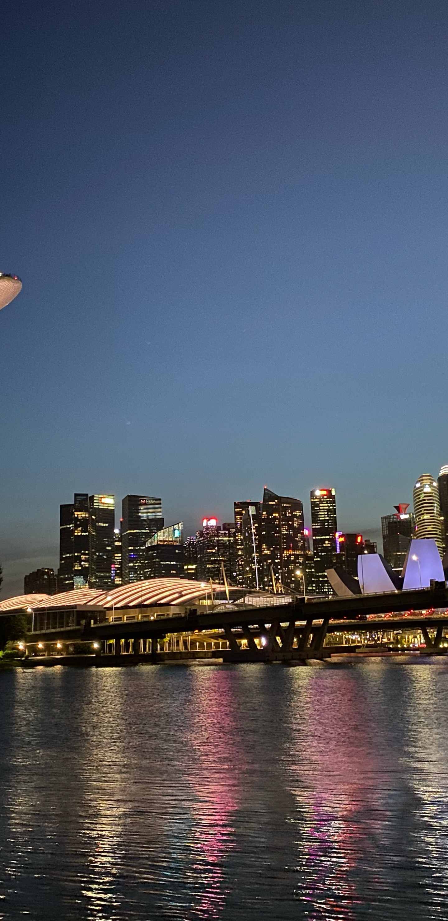 Обои линия горизонта, башня, город, метрополия, городской район в разрешении 1440x2960