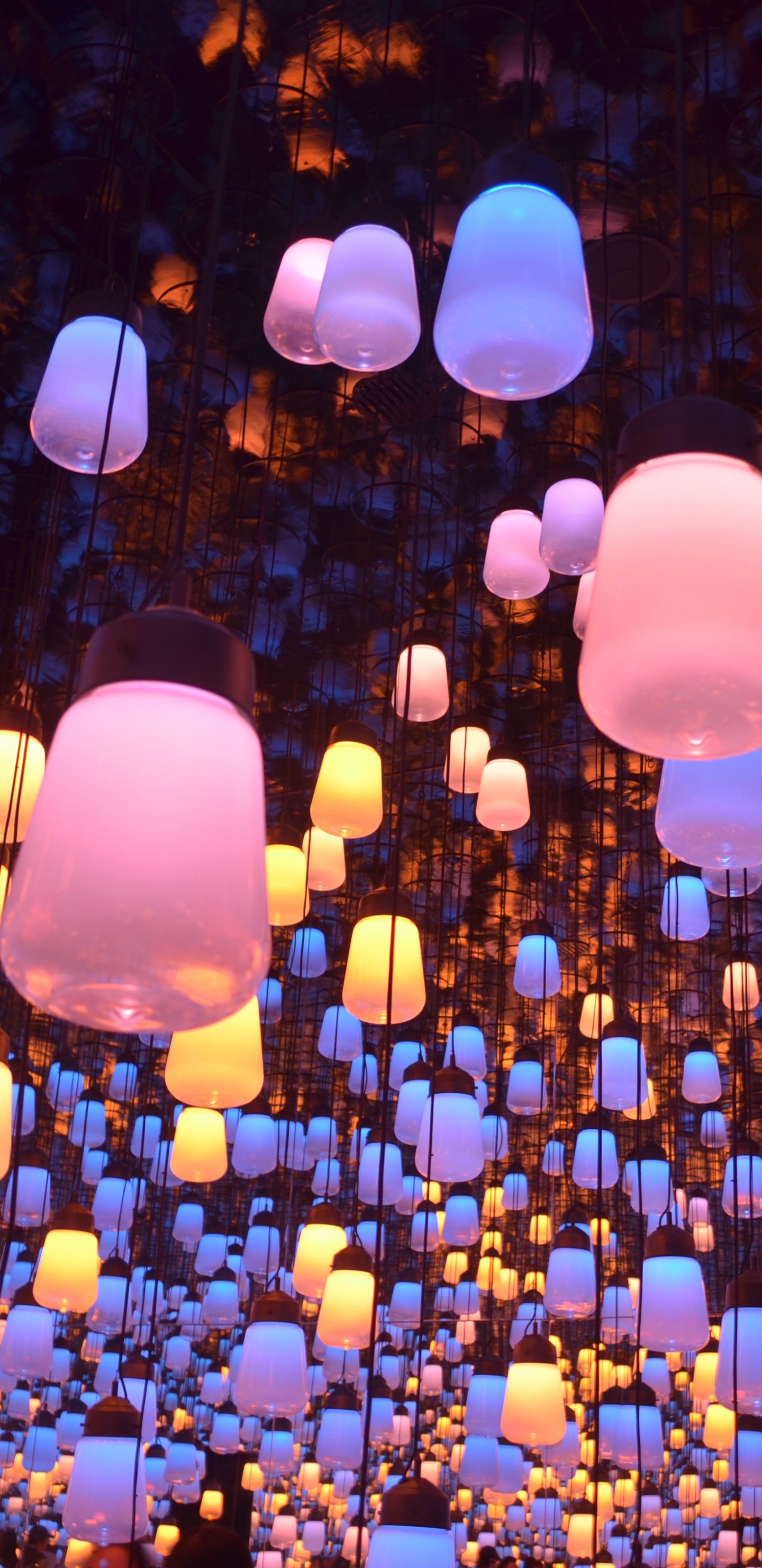 Обои освещение, фонарь, свет, пурпур, толпа в разрешении 1440x2960